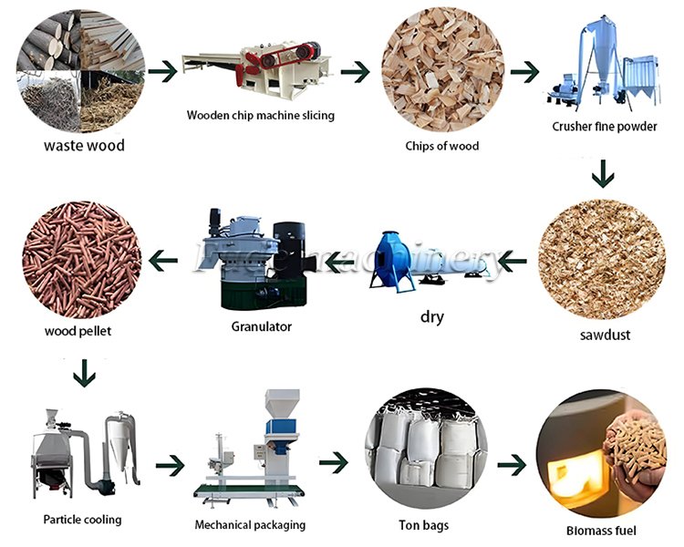 Biological particle production line