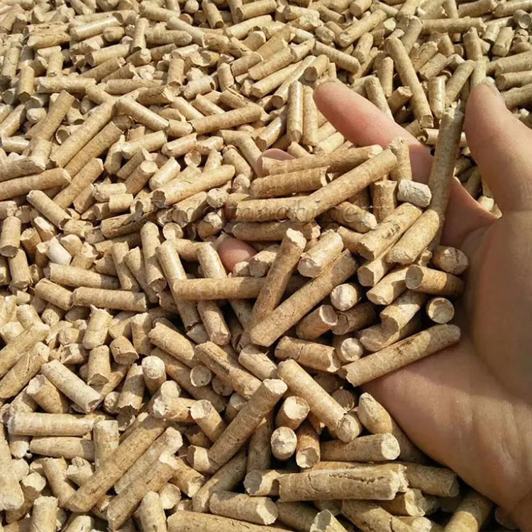 Biomass particles