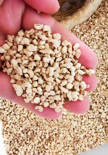 What Inspirations Does Biomass Energy Offer Related Industries? - What Inspirations Does Biomass Energy Offer Related Industries?(images 8)