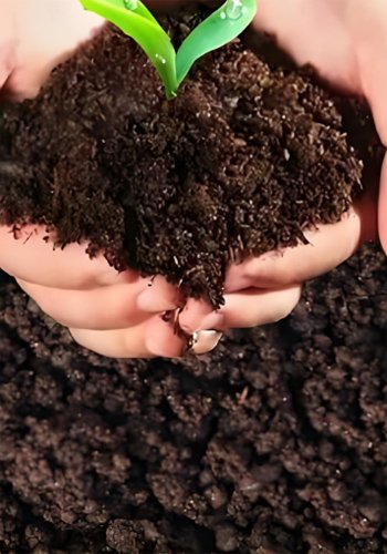 What Inspirations Does Biomass Energy Offer Related Industries? - What Inspirations Does Biomass Energy Offer Related Industries?(images 9)