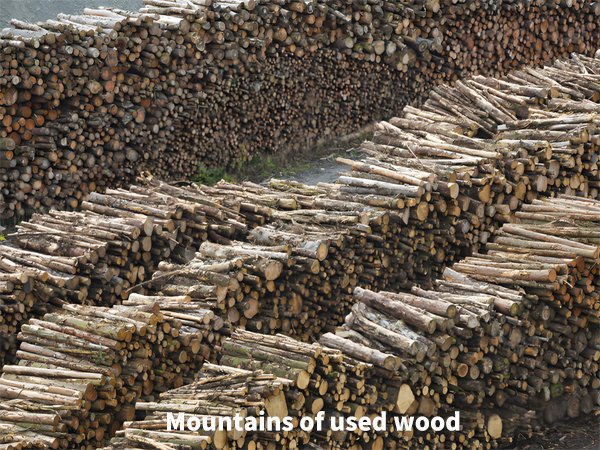 How the wood crusher realizes the efficient use of resources - How the wood crusher realizes the efficient use of resources（images 6）