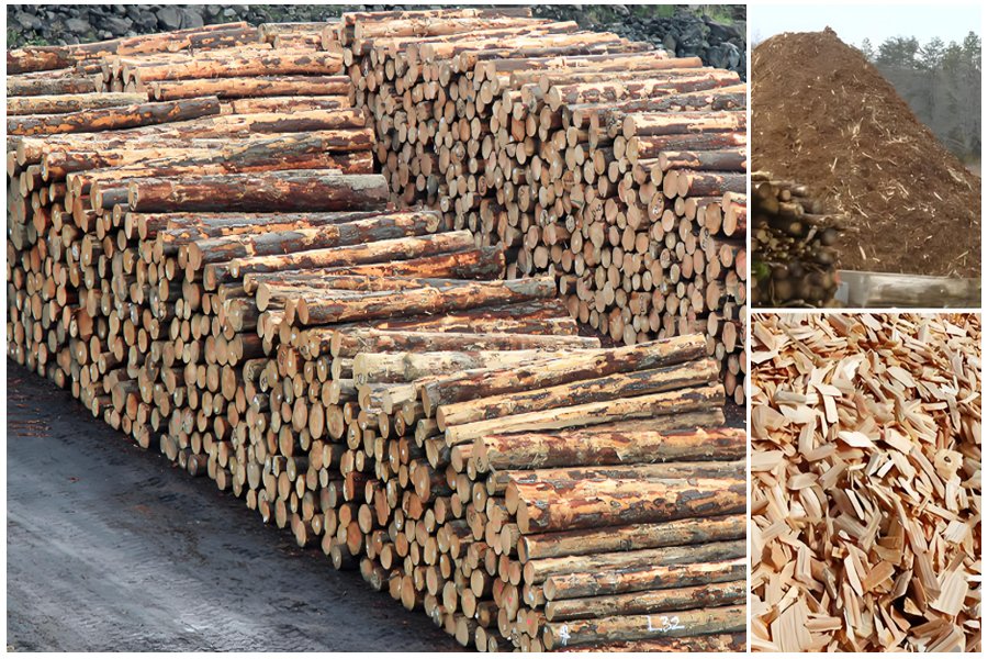 What is the importance of a wood crusher - What is the importance of a wood crusher(images 1)