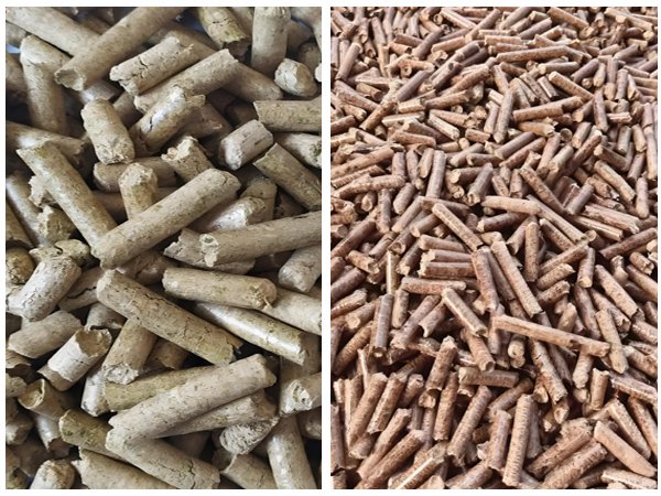 Biomass particles