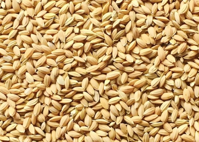 How to make chicken feed pellets - How to make chicken feed pellets（images 2）