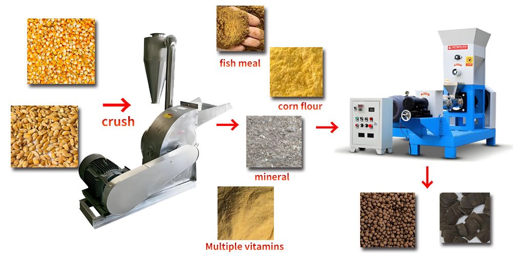 Which feed is the best for fish? - Which feed is the best for fish?（images 8）