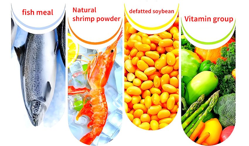 Which feed is the best for fish? - Which feed is the best for fish?（images 7）