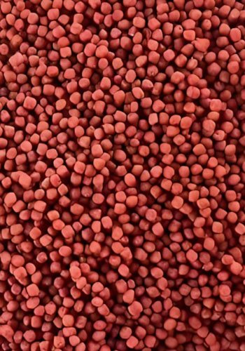 Which feed is the best for fish? - Which feed is the best for fish?（images 6）