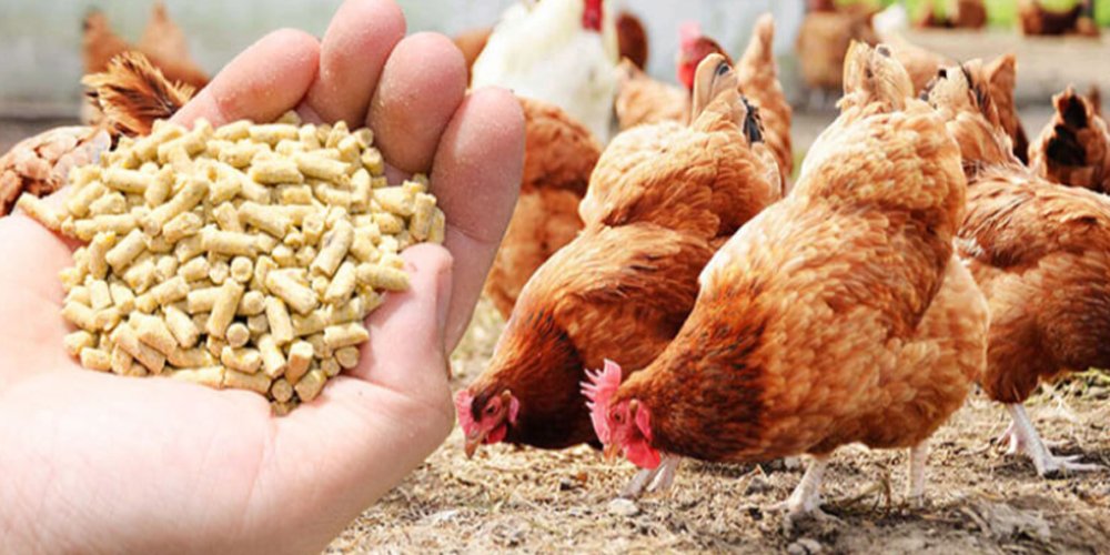 Farm feed pellet machine - Farm feed pellet machine（images 7）