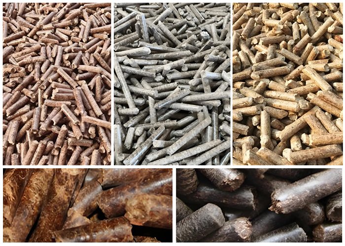 Biomass particles