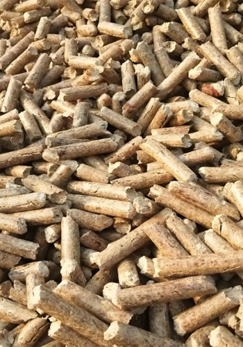 Biomass particles
