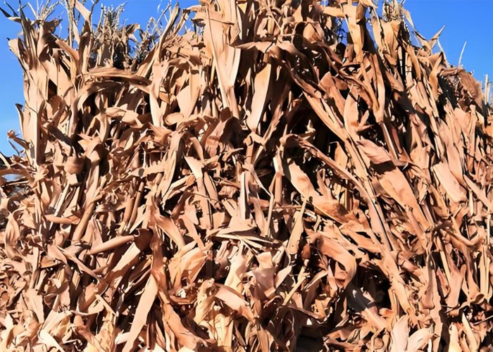 How is the biomass energy market? - How is the biomass energy market?（images 3）