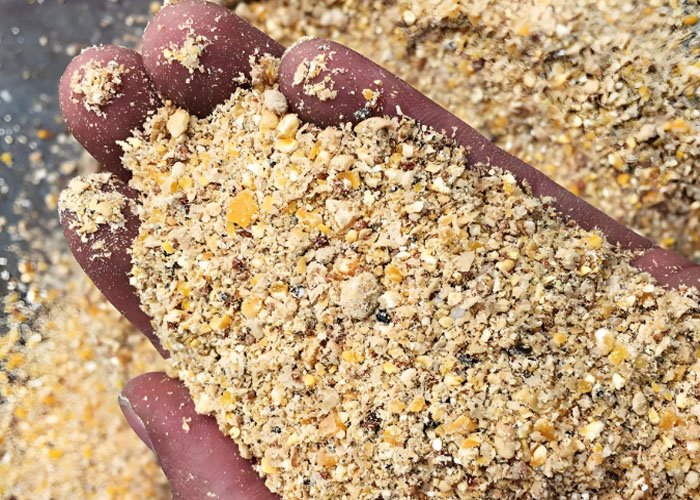 What should be noted when making homemade chicken feed? - What should be noted when making homemade chicken feed?（images 6）