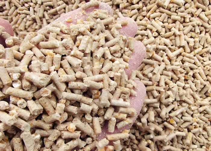 What should be noted when making homemade chicken feed? - What should be noted when making homemade chicken feed?（images 7）