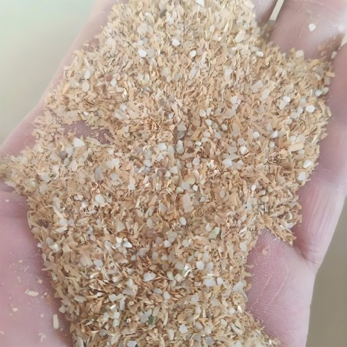 What Is The Best Feed For Ducks? - What Is The Best Feed For Ducks?（images 6）