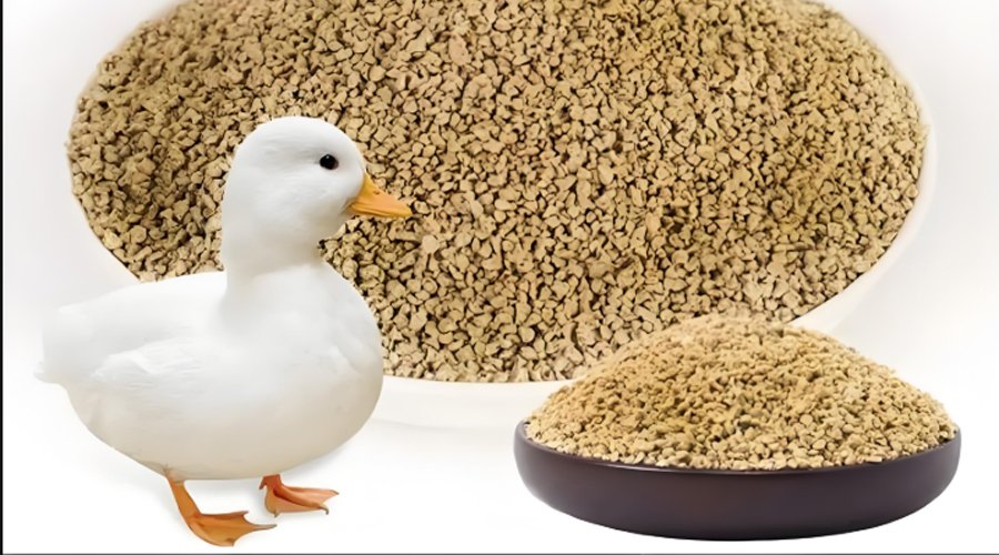 Types and Applications of Duck Feed Granules - Types and Applications of Duck Feed Granules（images 1）