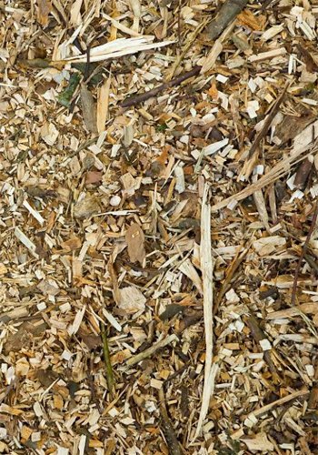 Making Paper Mill Residues into Wood Pellet Fuel - Making Paper Mill Residues into Wood Pellet Fuel（images 2）