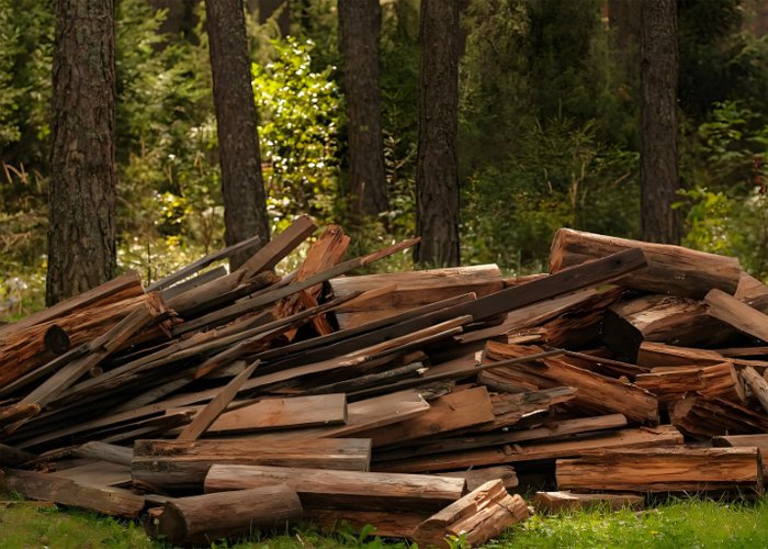 Feasibility of turning sawmill by-products into fuel pellets - Feasibility of turning sawmill by-products into fuel pellets（images 2）