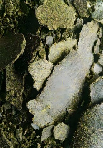 What is the best chicken feed formula? - What is the best chicken feed formula?（images 6）