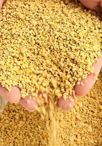 Is there a difference in the types of goose feed? - Is there a difference in the types of goose feed?（images 1）