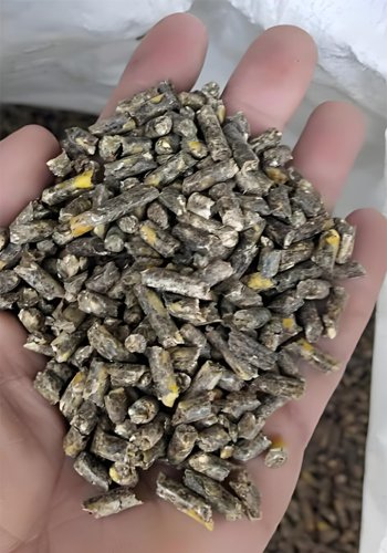 What Exactly Are Goose Feed Pellets Used For? - What Exactly Are Goose Feed Pellets Used For?(images 3)