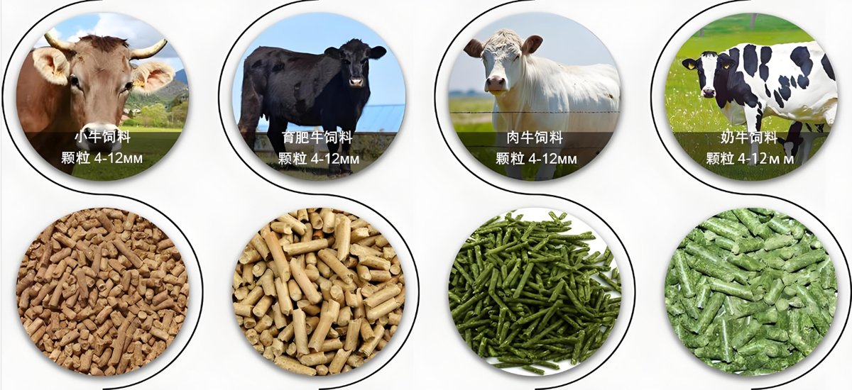 Feed Pellet Mill（images 1）