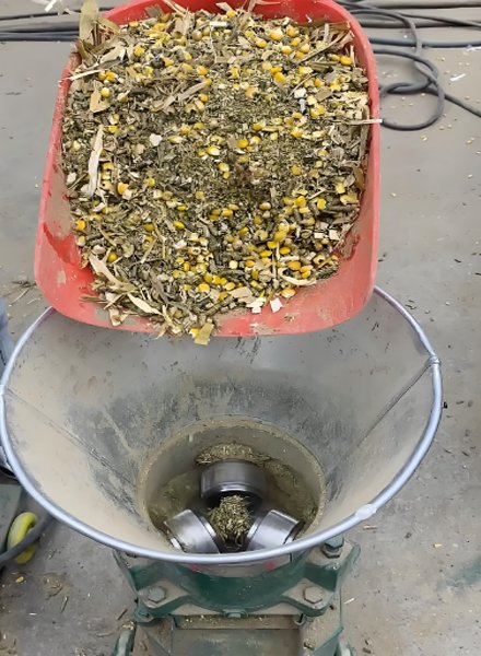 How to make poultry animal feed: plans and tips（images 2）