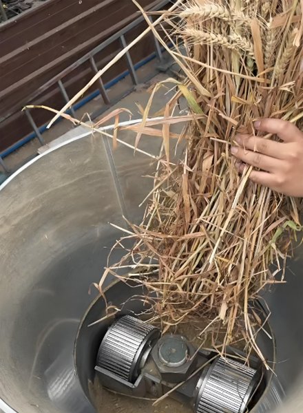 How to make poultry animal feed: plans and tips（images 3）