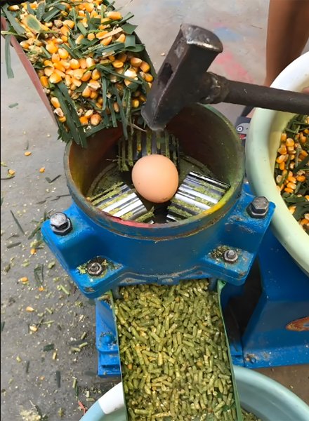 How to make poultry animal feed: plans and tips（images 4）