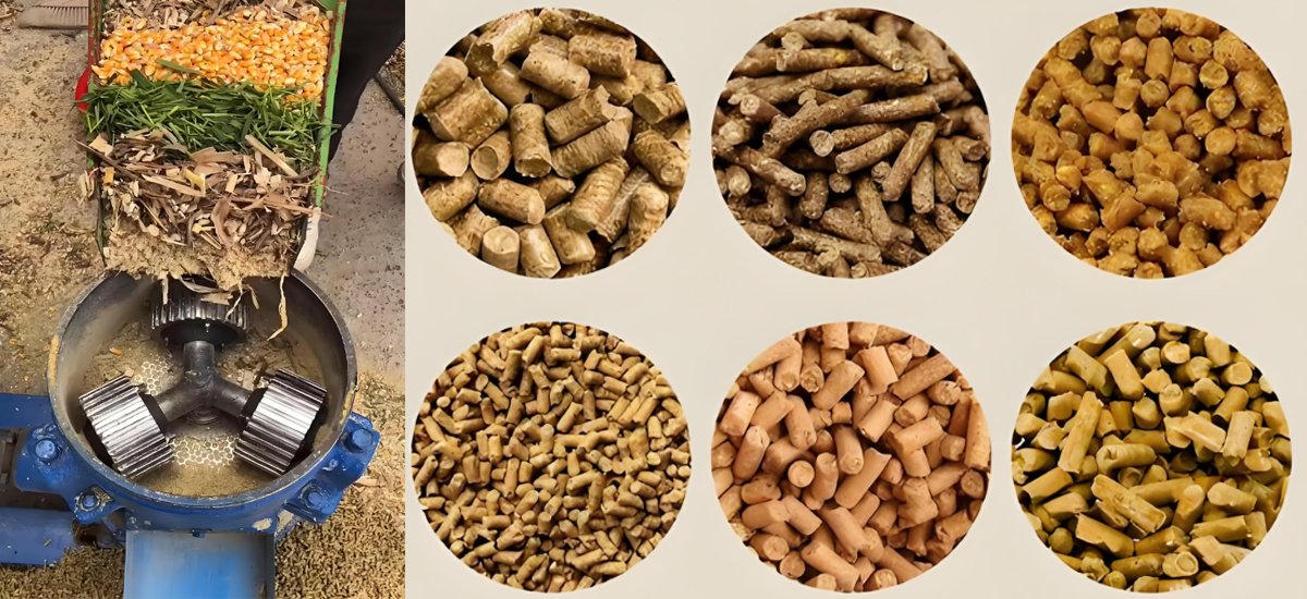 How to make poultry animal feed: plans and tips（images 1）